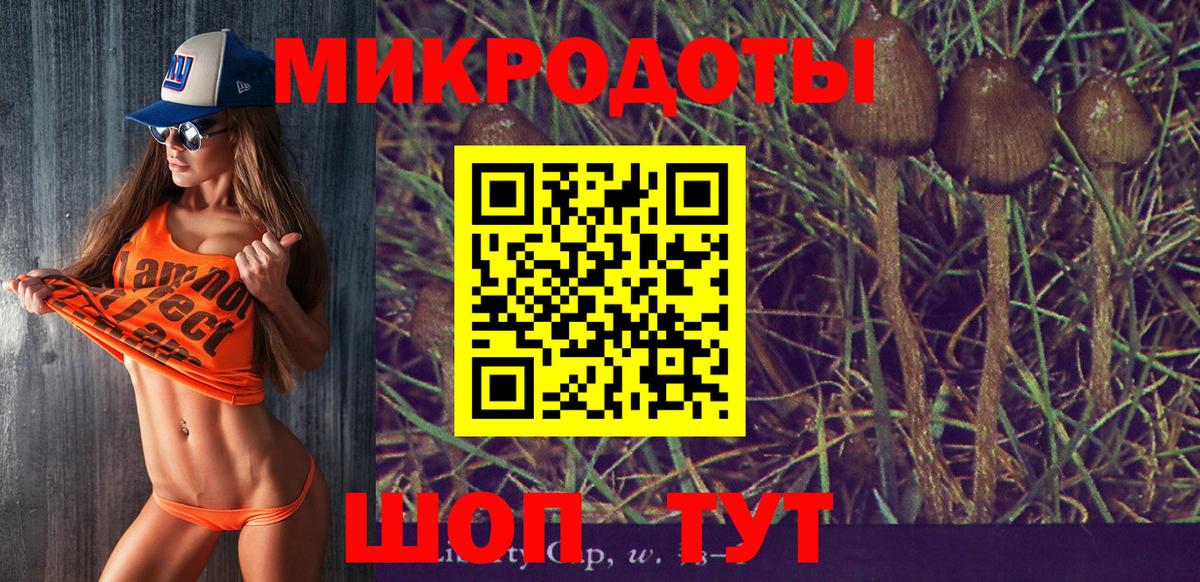 Галлюциногенные грибы Magic Shrooms Глазов