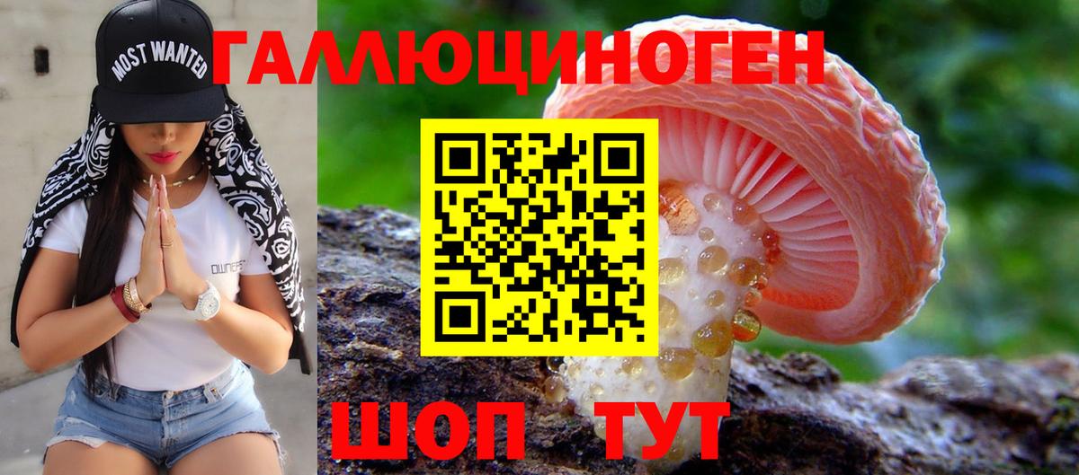 Псилоцибиновые грибы GOLDEN TEACHER  Вход с VPN  Глазов  Псилоцибиновые грибы Magic Shrooms 
